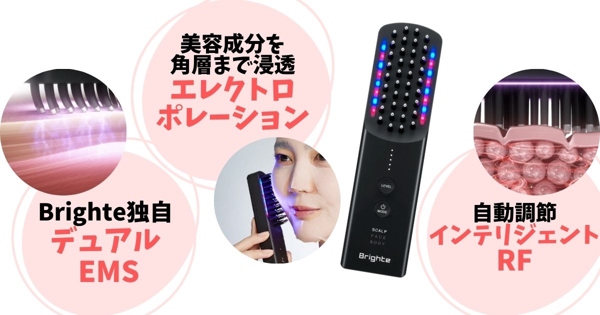 エレキブラシプラスはベーシックながら人気の機能を組み合わせた構成