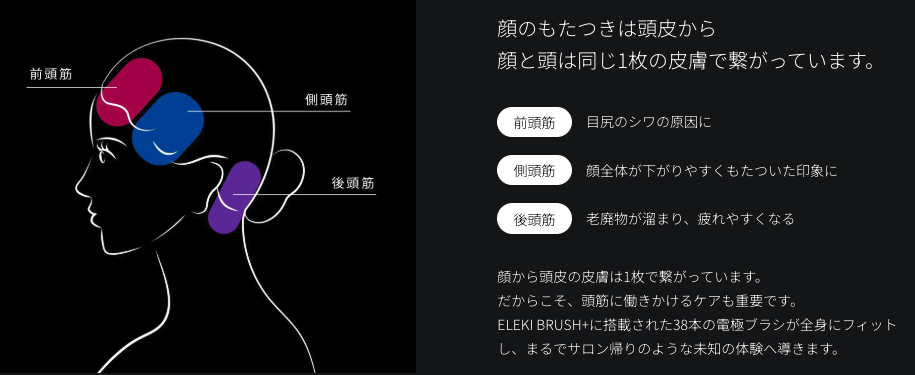 頭皮と顔は繋がっているので、エレキブラシプラスは頭皮と顔をまとめてケアで頭皮環境の改善とフェイスラインの引き締めをサポート