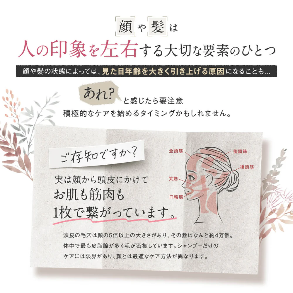 顔の皮膚と頭皮は一枚の皮でつながっている