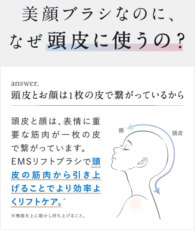 頭皮と顔は一枚の皮で繋がっているため、頭皮から引き上げるようにケアすることで顔全体の印象がシャープになる
