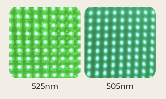 ヤーマン独自の緑LED(505nm)