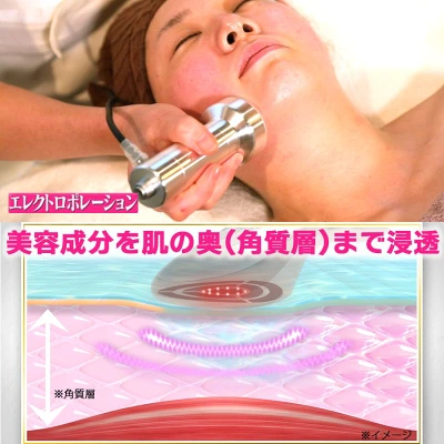 MEラボンエクラのエレクトロポレーション