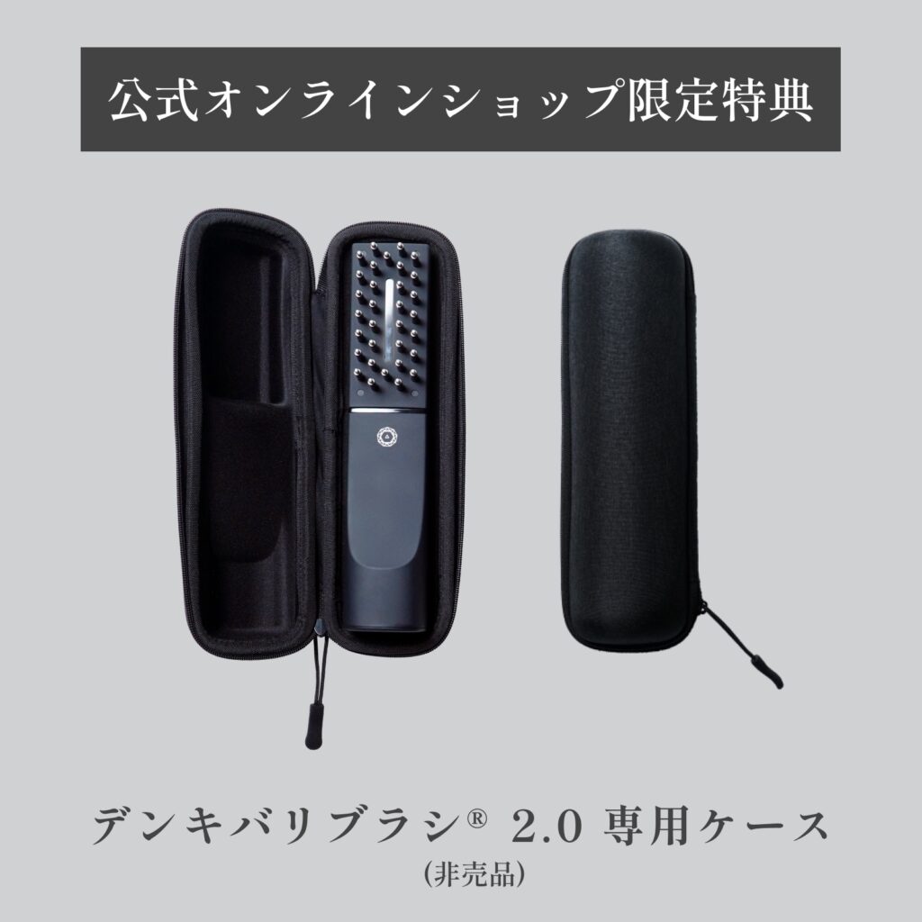 エレクトロンの公式サイトで購入すると、限定特典として専用ケース(非売品)がつきます。