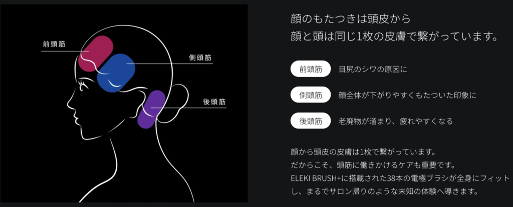 エレキブラシプラスは頭筋へのアプローチを重視