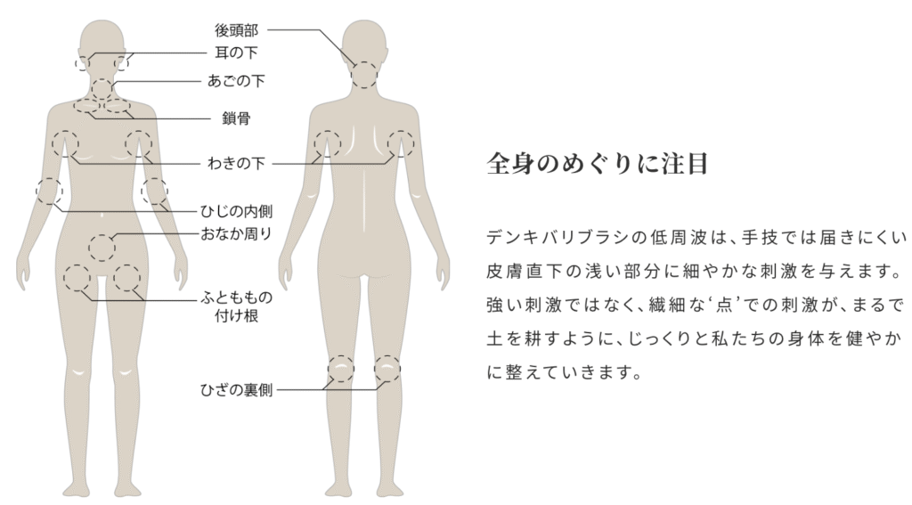 低周波の刺激は肌の土台にしっかりアプローチ