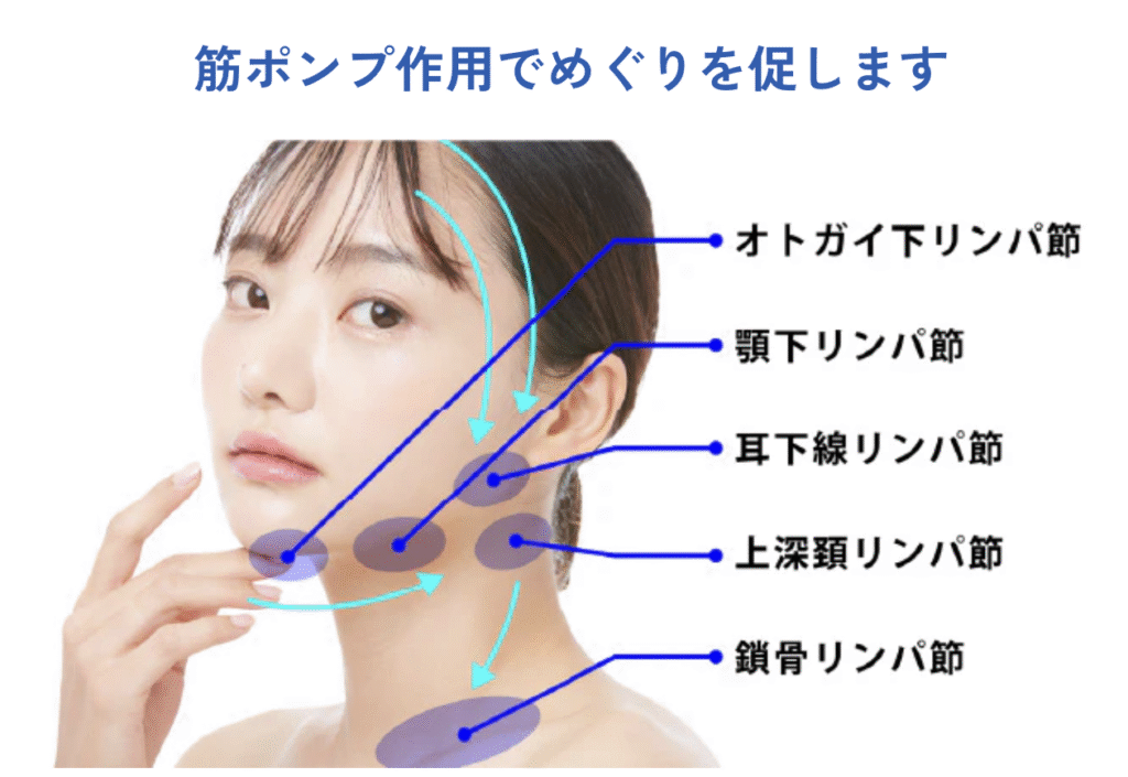 エルフェイスエーのLモード