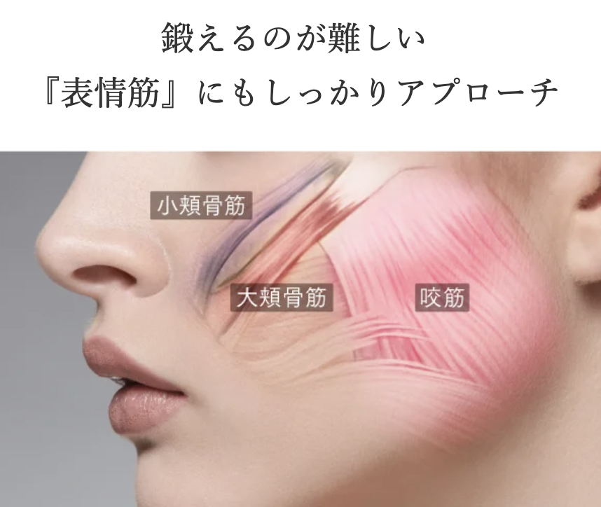 表情筋