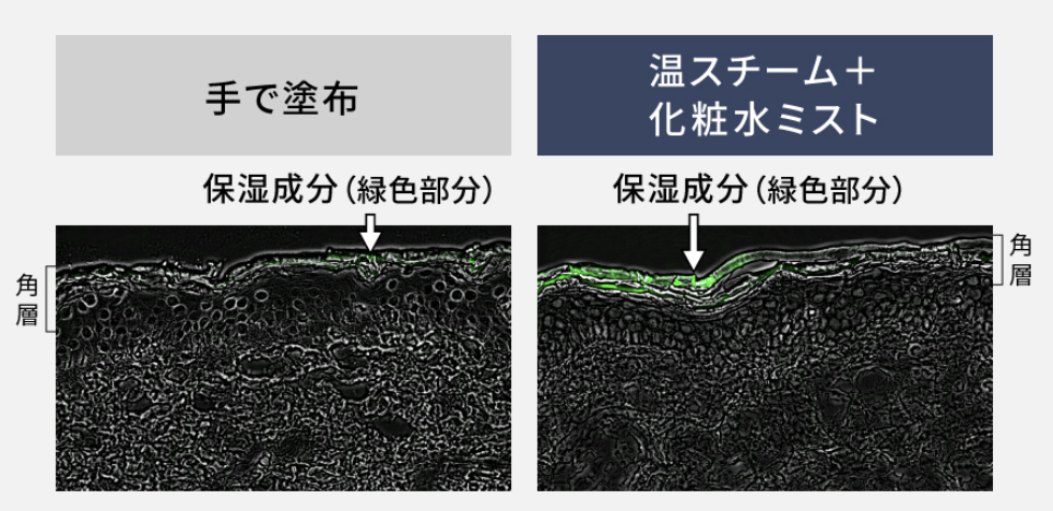 手塗りと温スチーム12分後の浸透状態比較