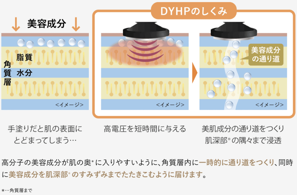 DYHPのしくみイメージ