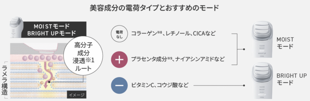 美容成分の電荷タイプ